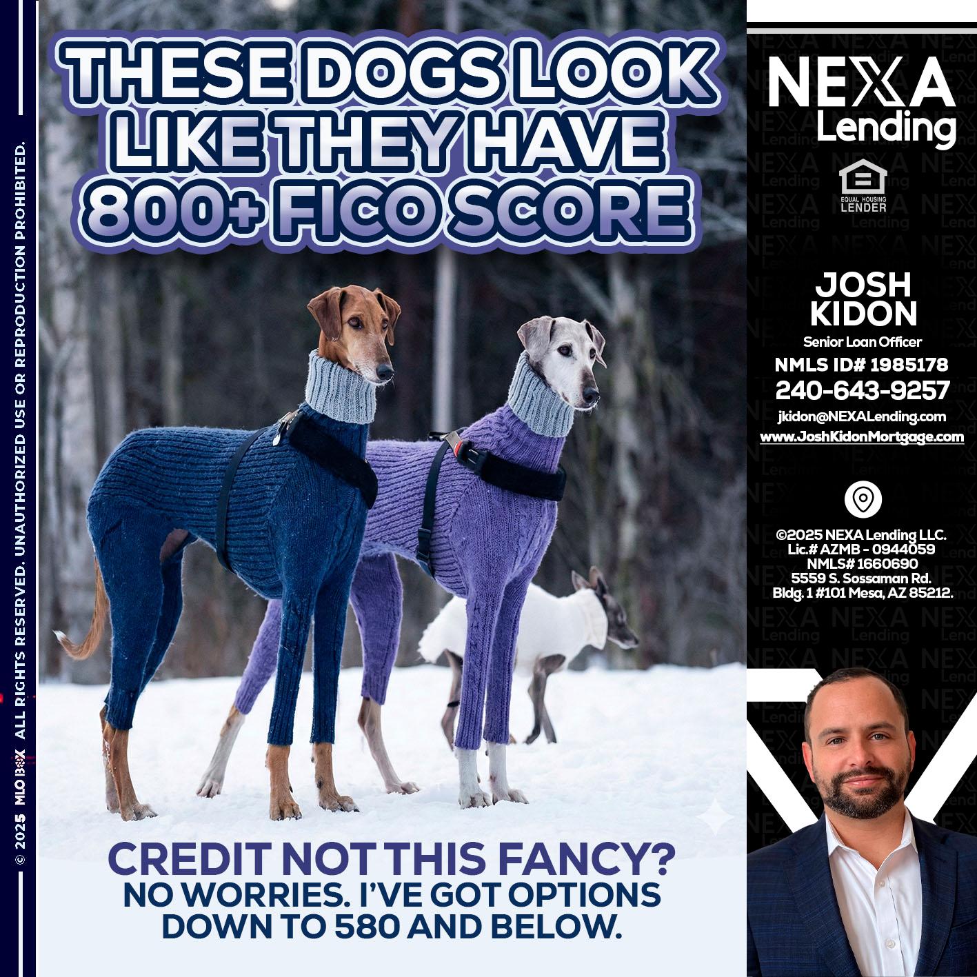 THESE DOGS LOOK - Joshua Kidon -Senior Loan Officer